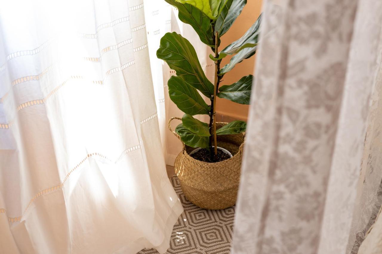 דירות אתונה Mediterranean House - 12 Min From Acropolis! מראה חיצוני תמונה